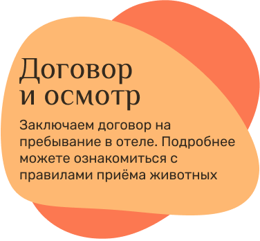 абв